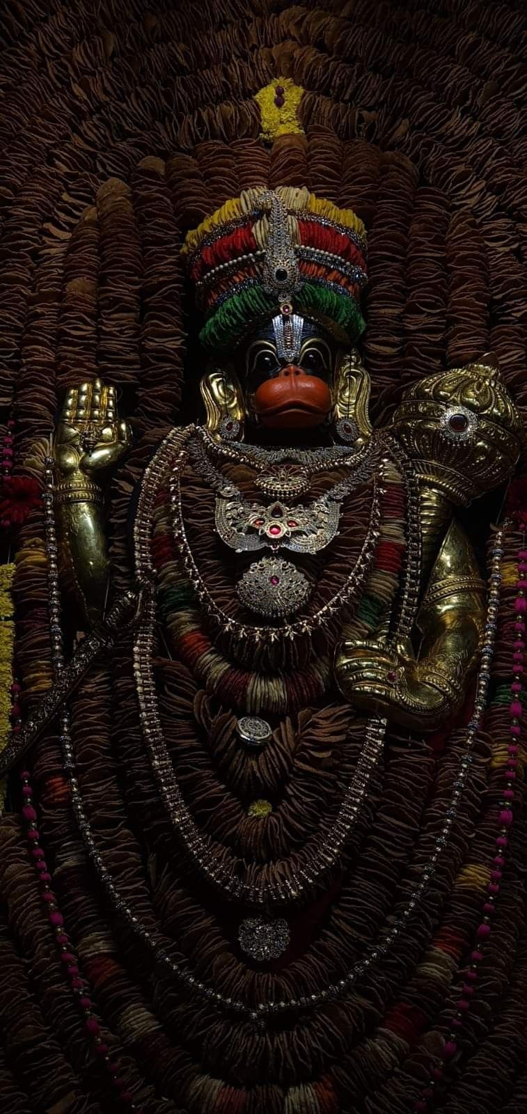 विद्यावान