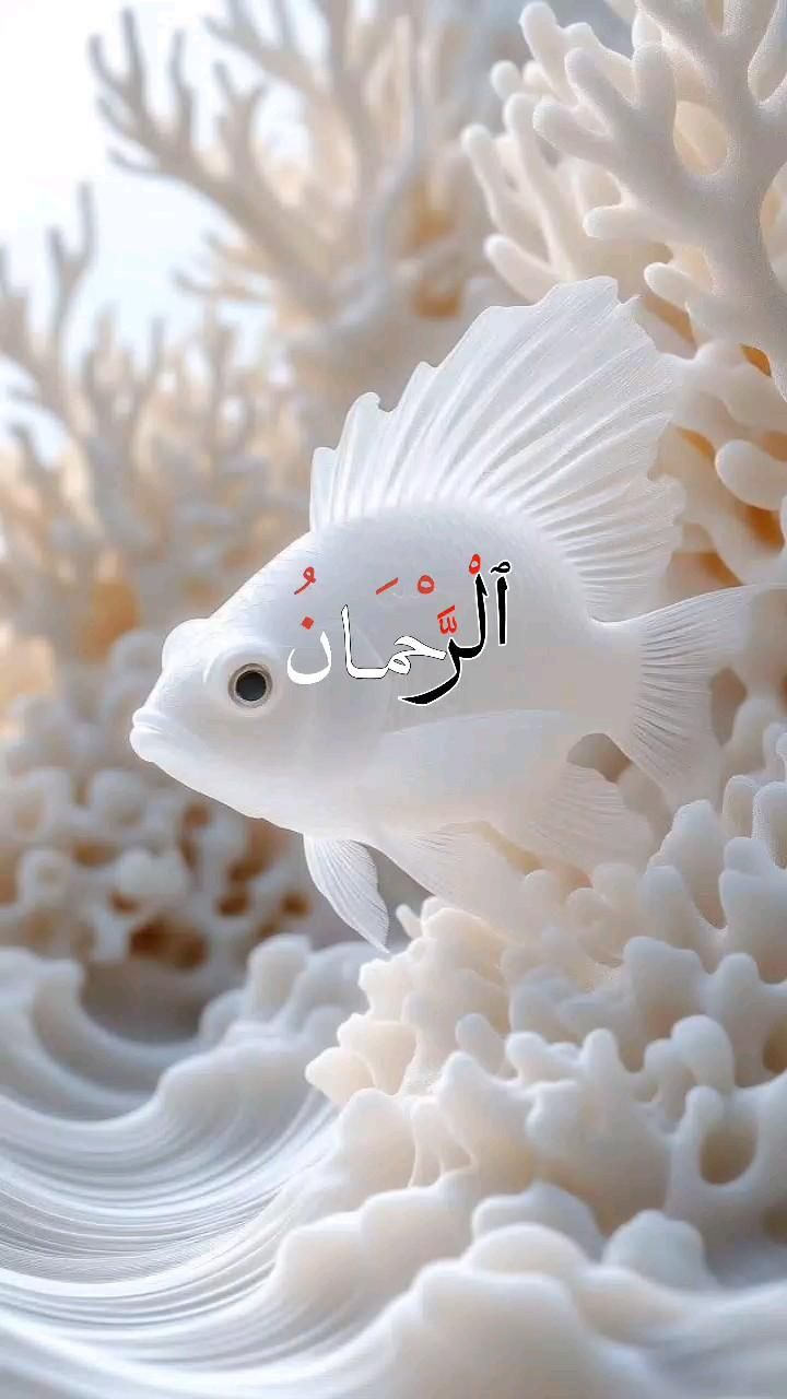 سلمان