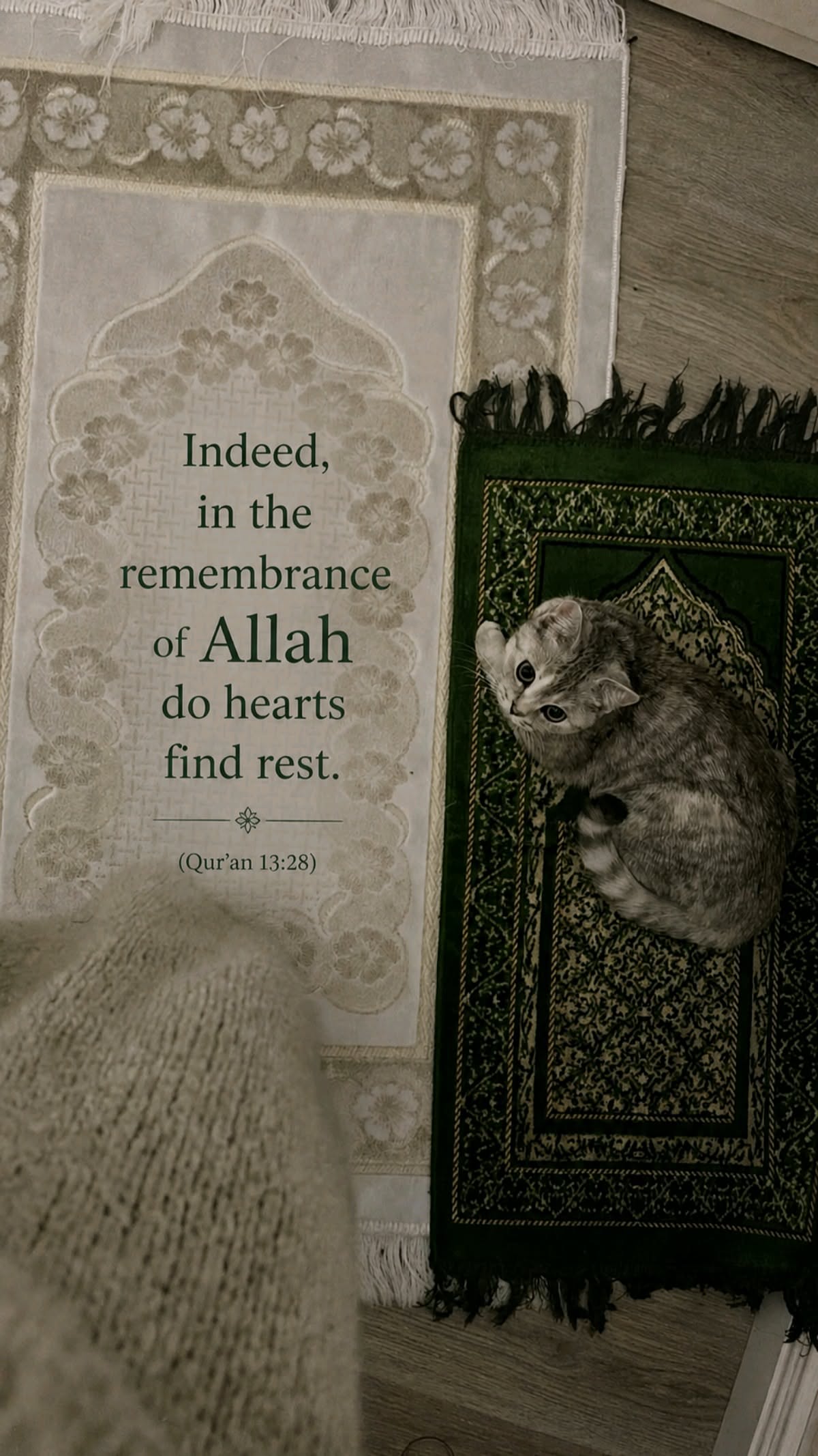 احمد