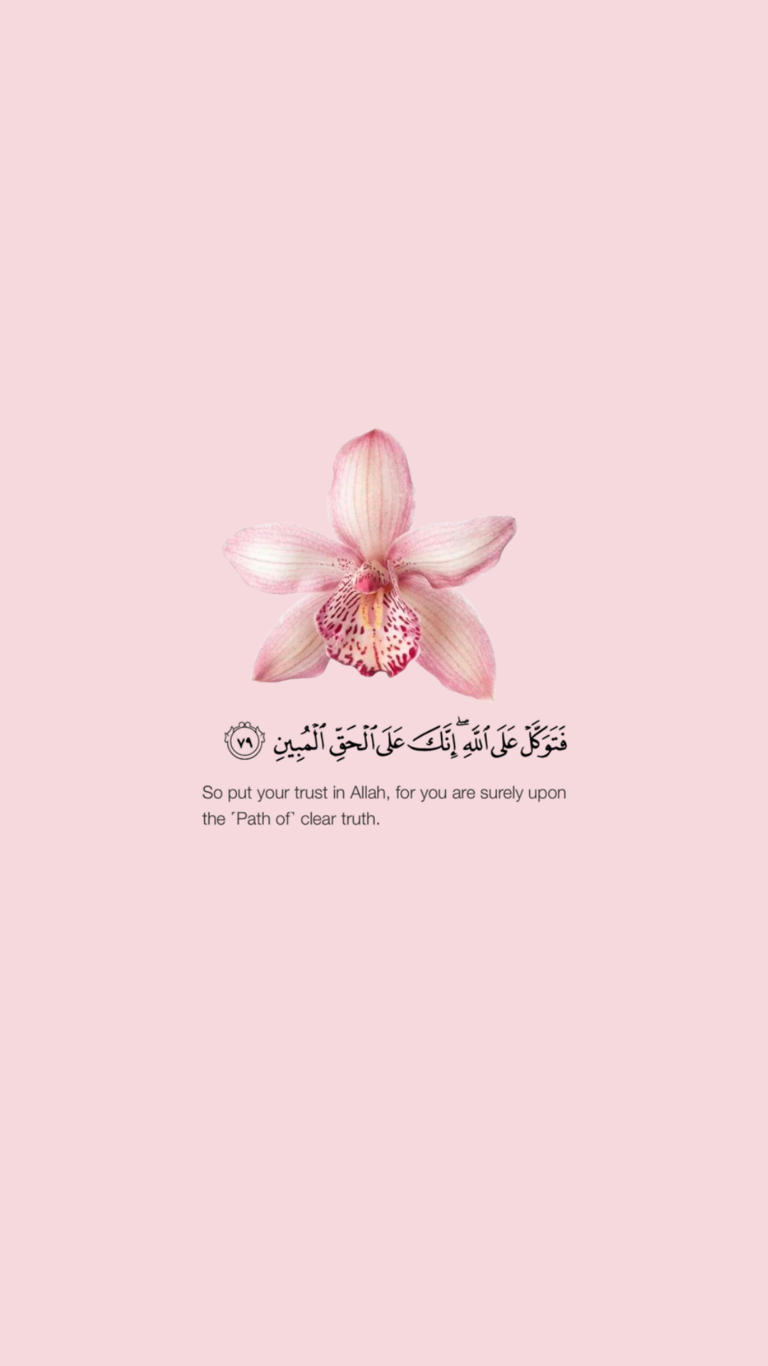 احمد