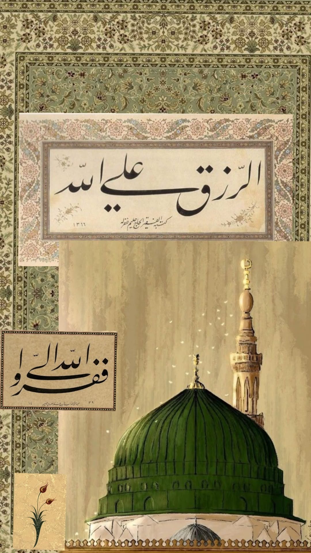عائشہ