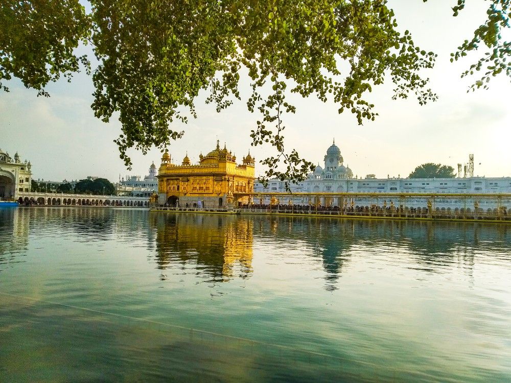 ਜਗਦੀਪ
