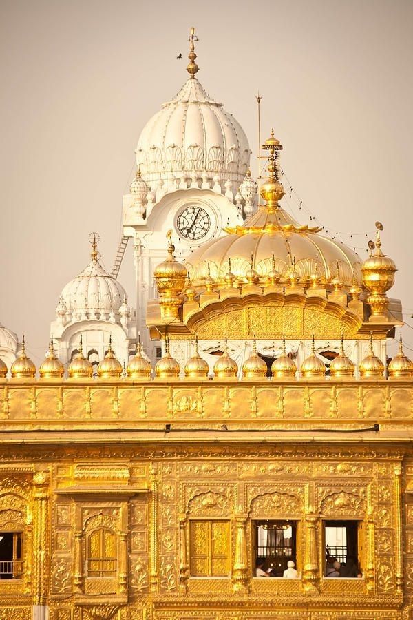 ਜਗਦੀਪ