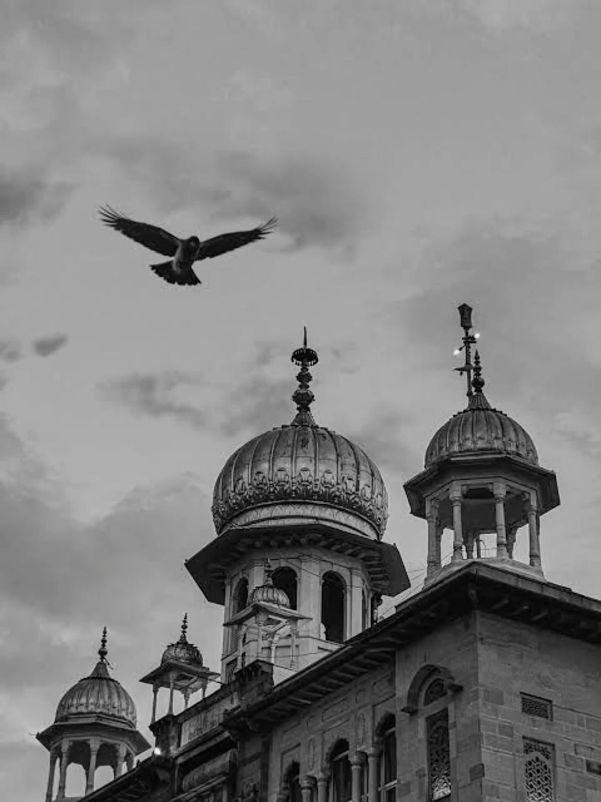 रूपिंदर