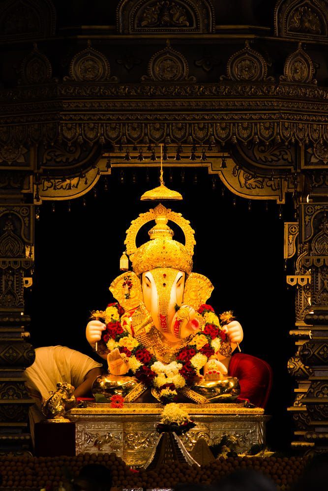Bhavagamyaya