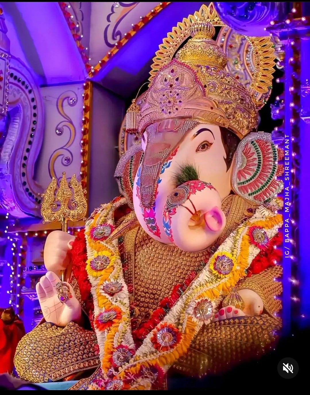Shashwata