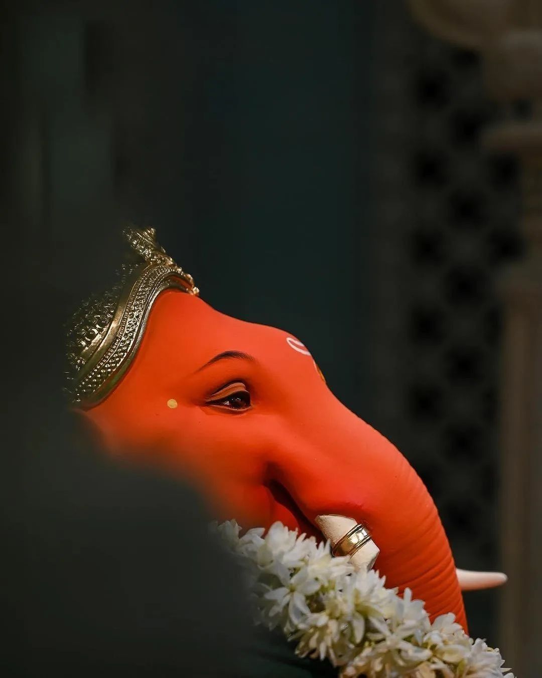 Vishwanetra