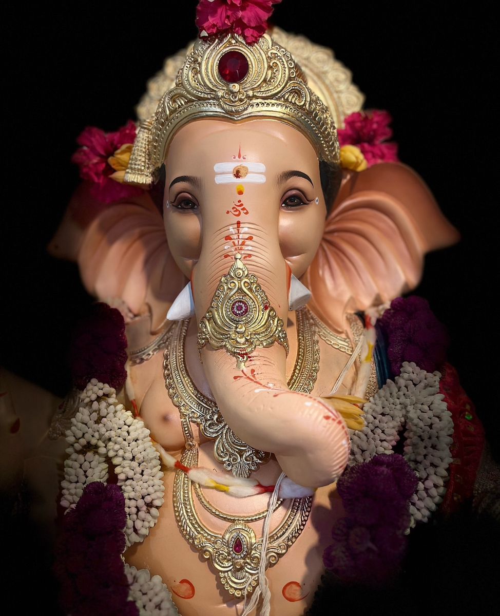 Bhavagamyaya