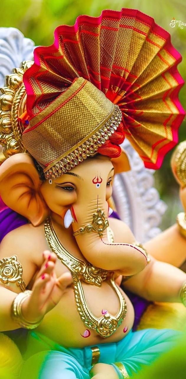 Vishwanetra