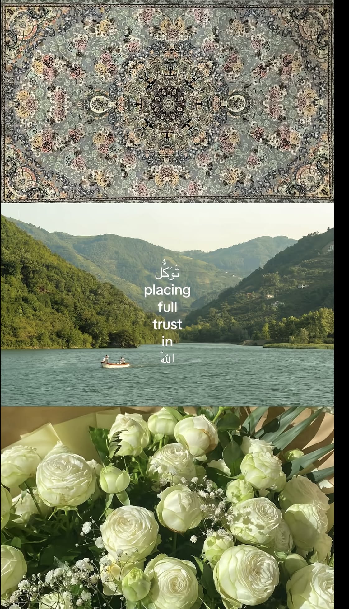 नाज़िया