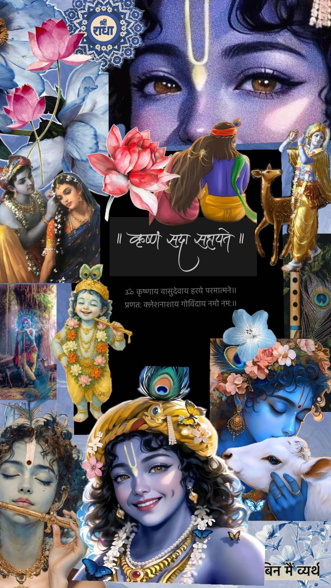 पार्थसारथी