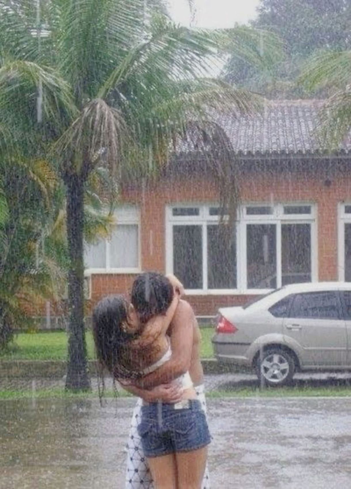 LoveBirds
