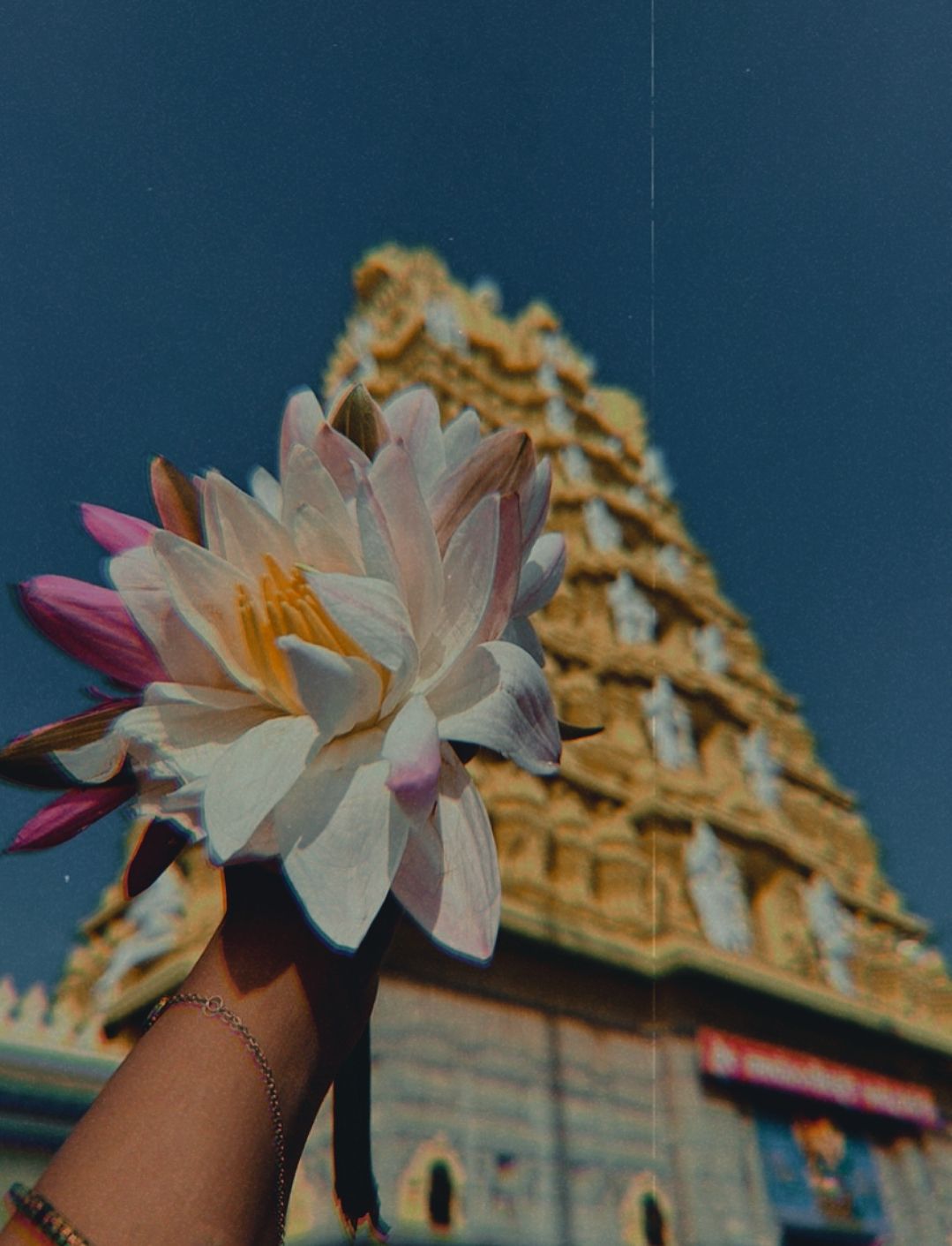 विष्णु