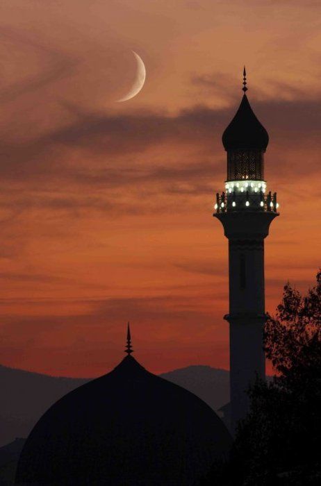 عمر