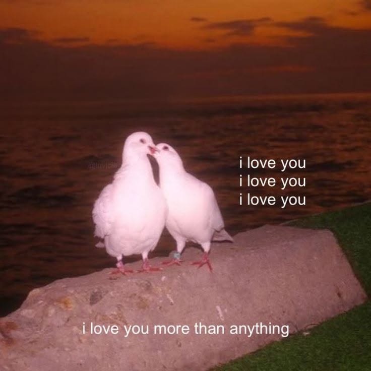 LoveNotes