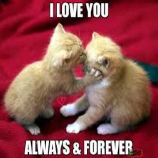 TrueLove