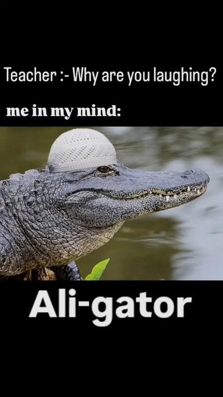 क्रश