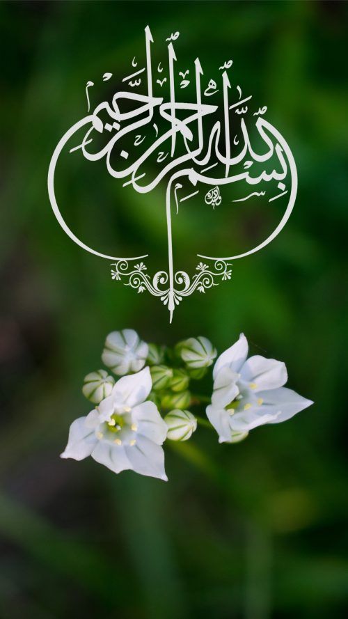 مہ نور