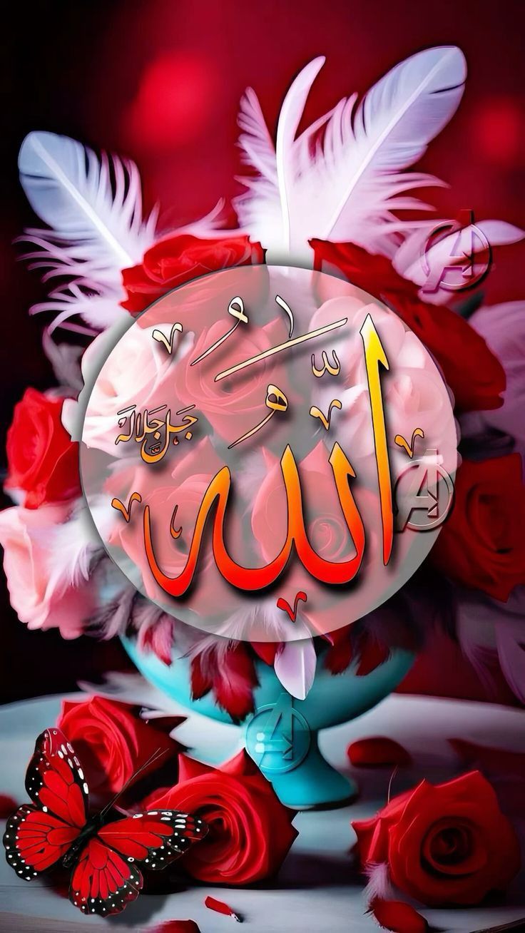 مہ نور