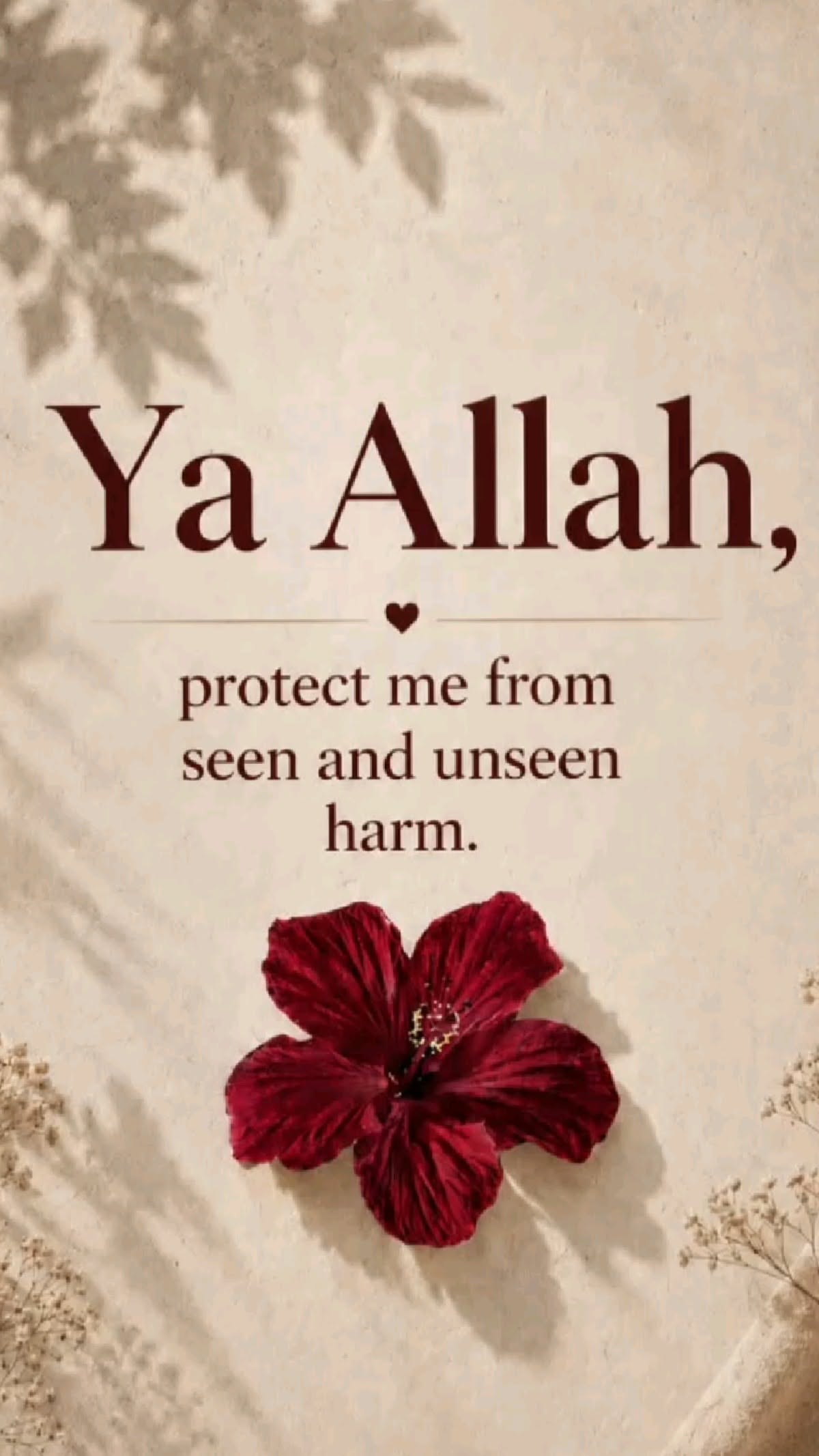 مہ نور