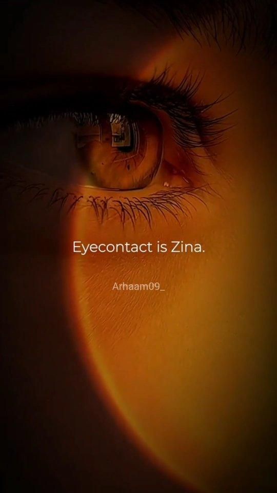 عامر