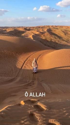 عامر