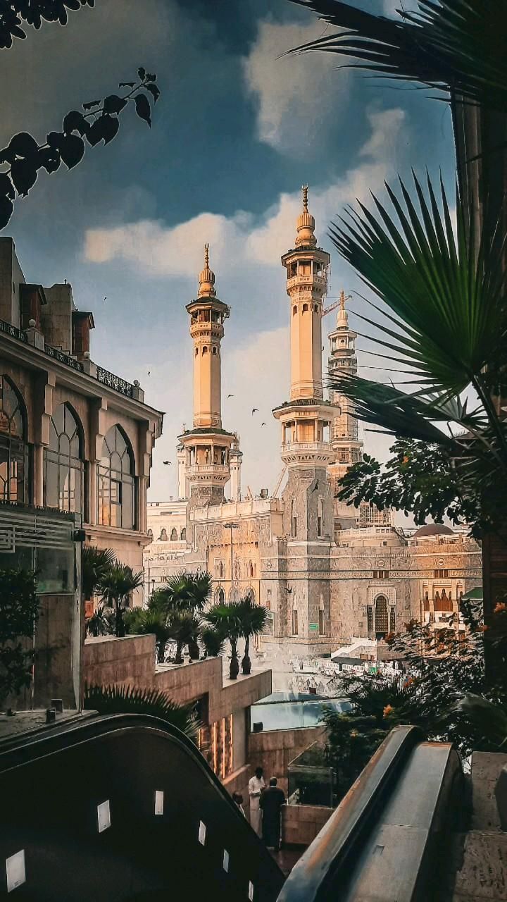 راشد