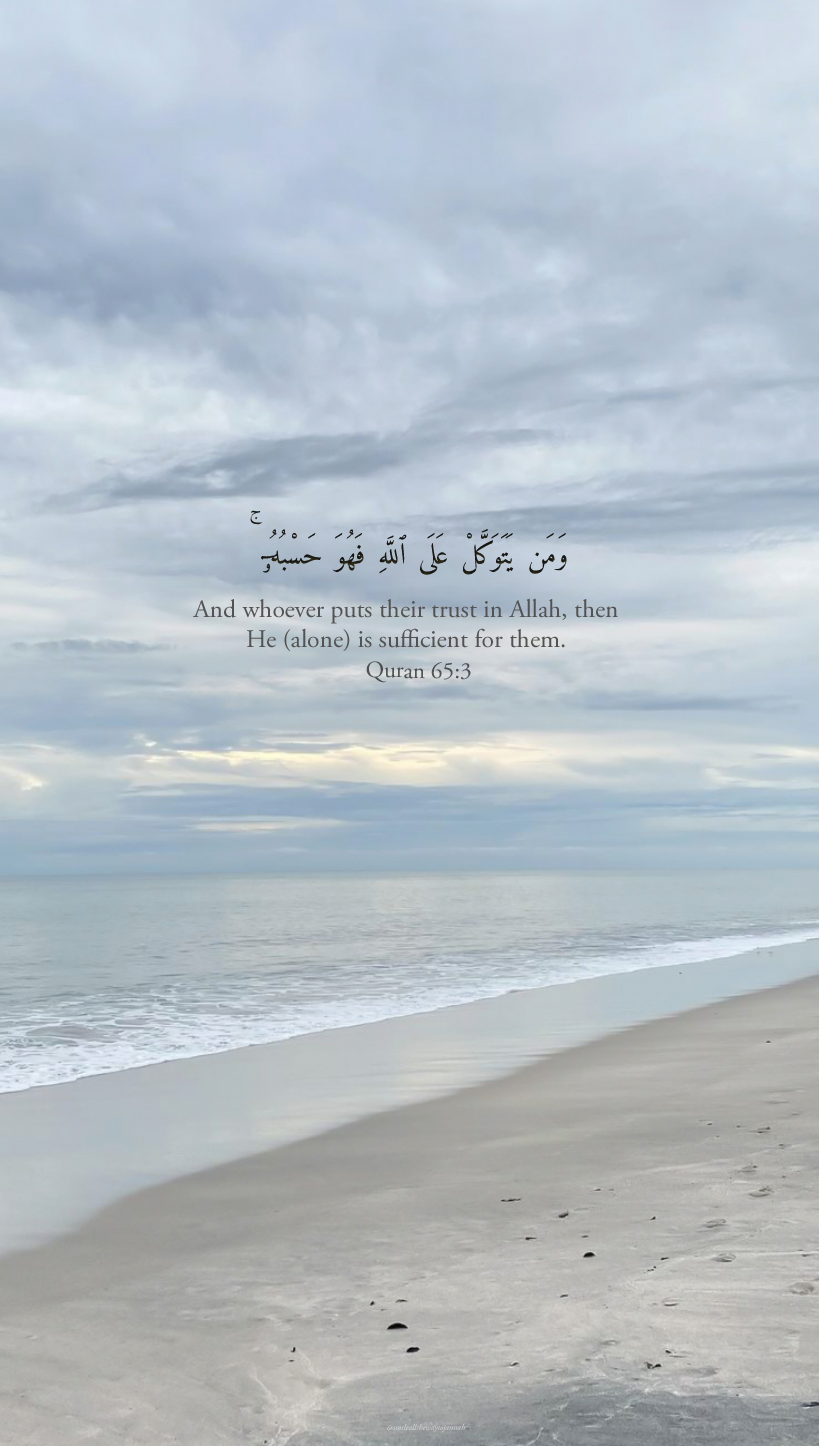 زویا
