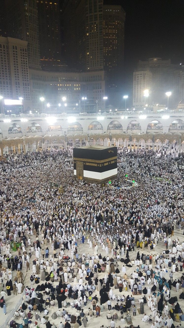 زویا