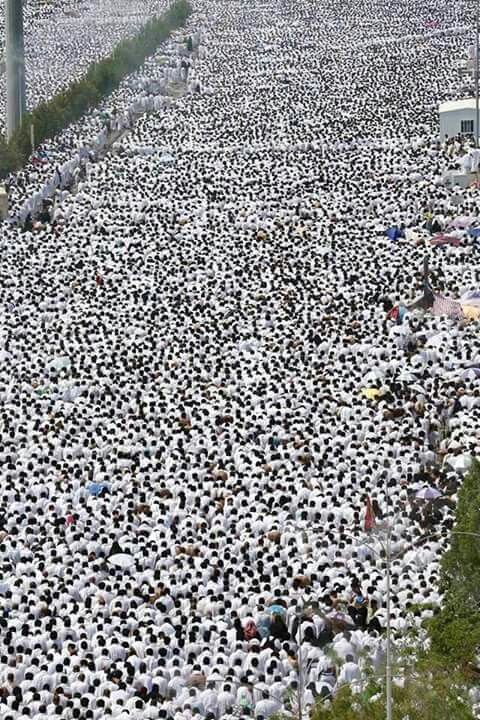 زویا