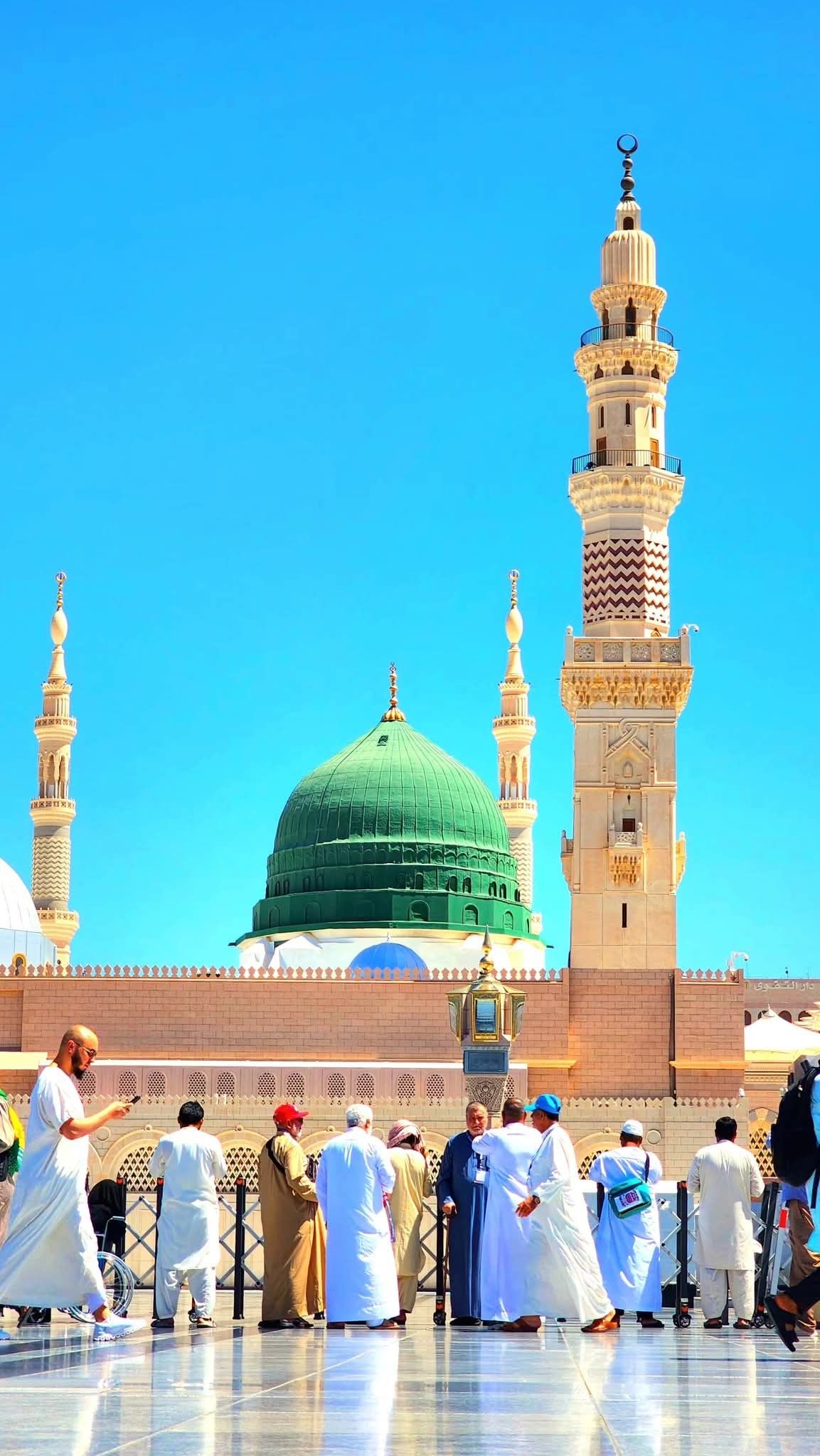 زویا