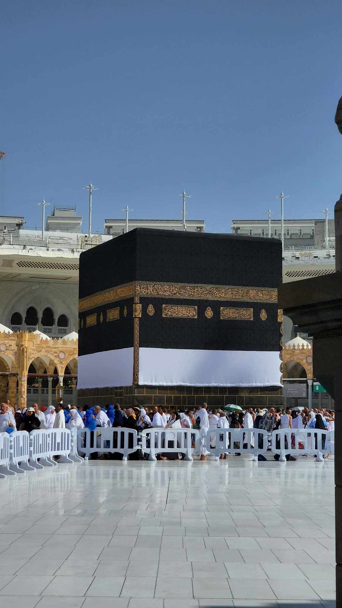 زویا