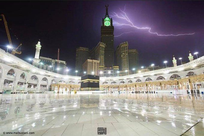 زویا