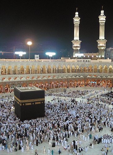 زویا