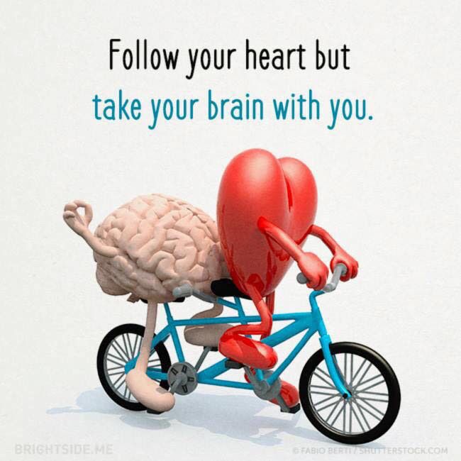 Heart