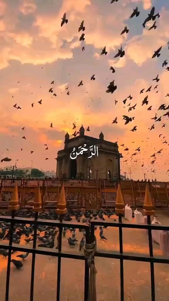 आमिना