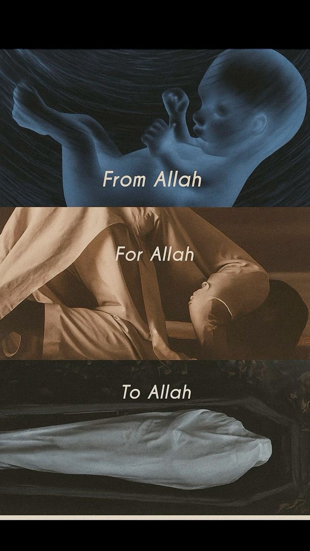 Arif