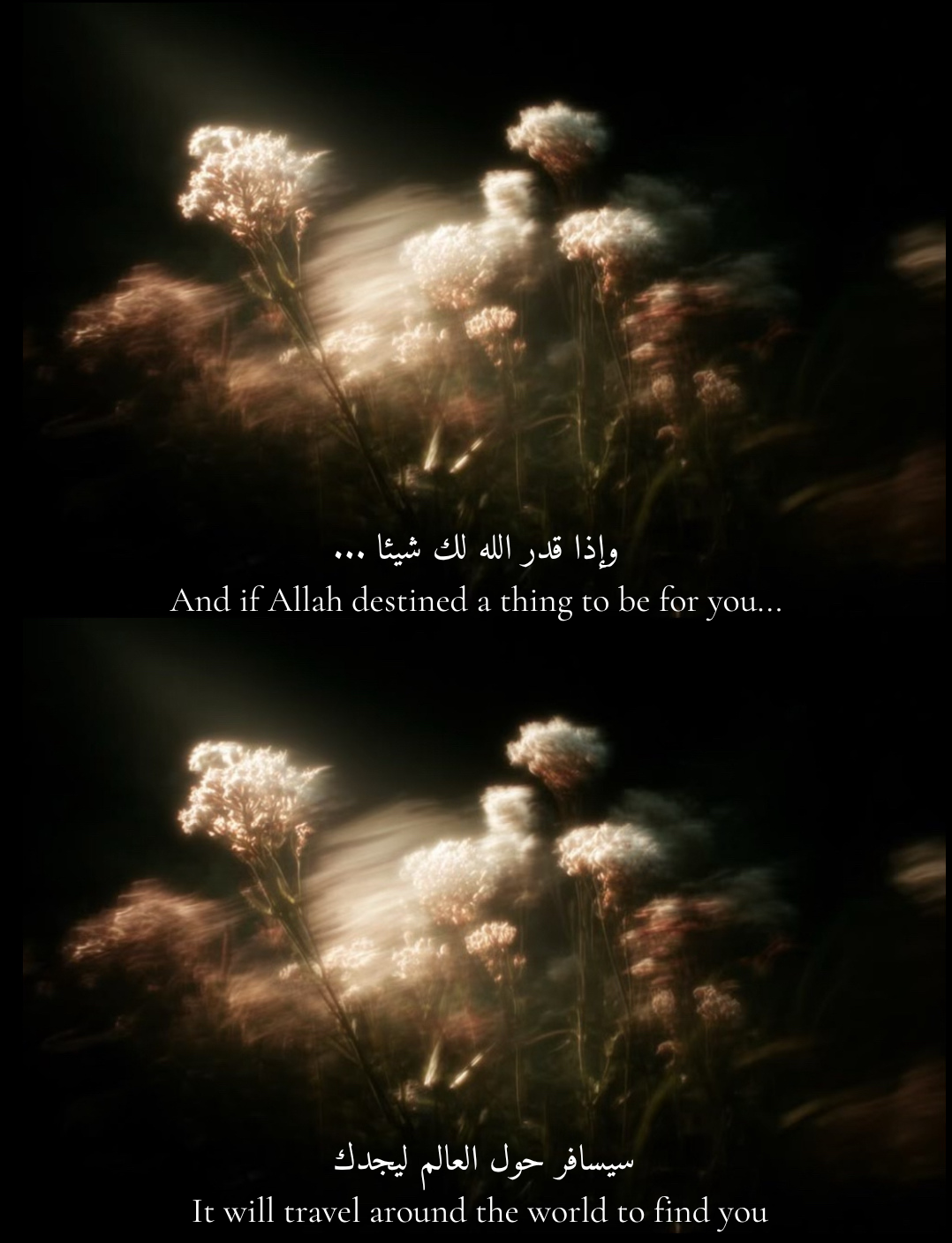 فاطمہ