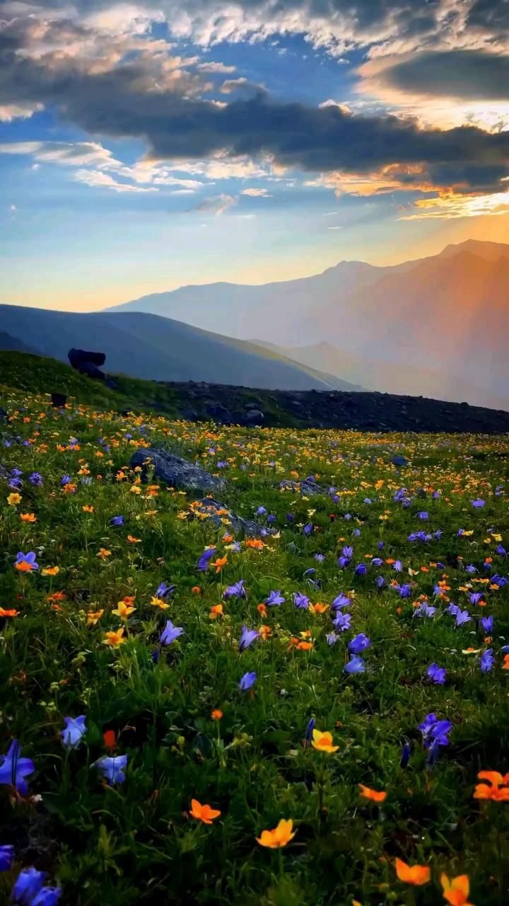 रोमांस