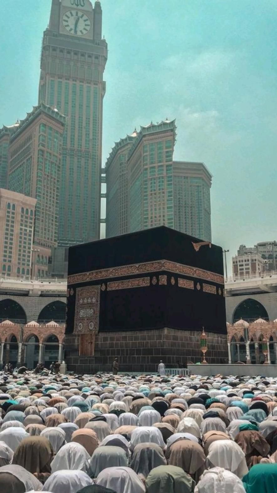نائلہ