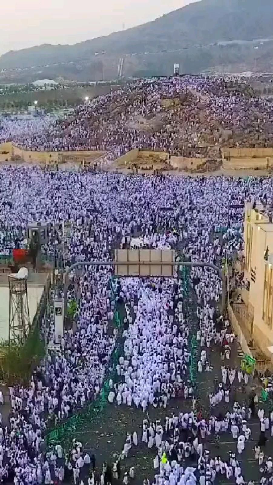 نائلہ