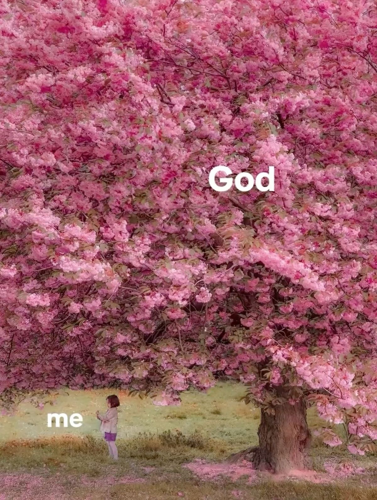 HolyBible