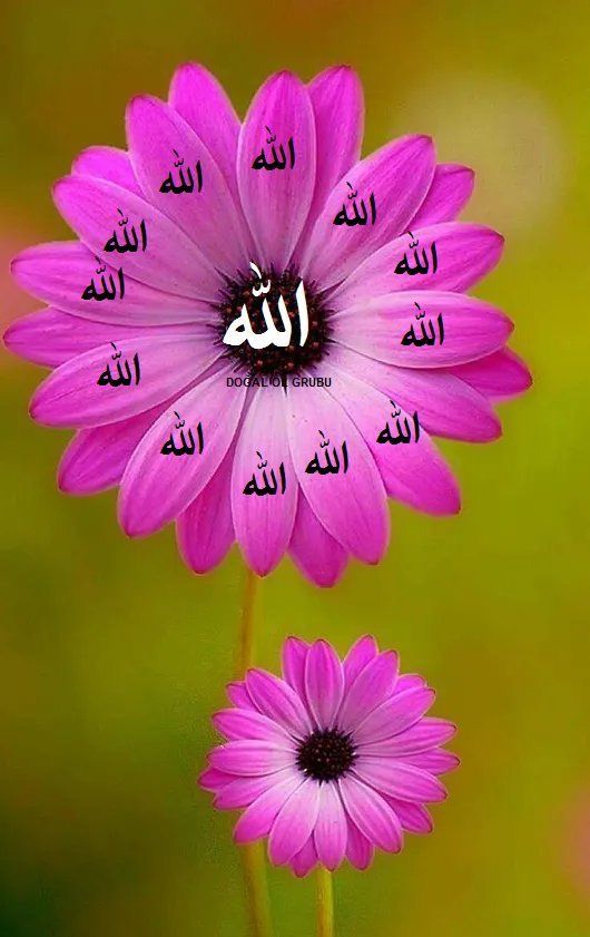 Faisal