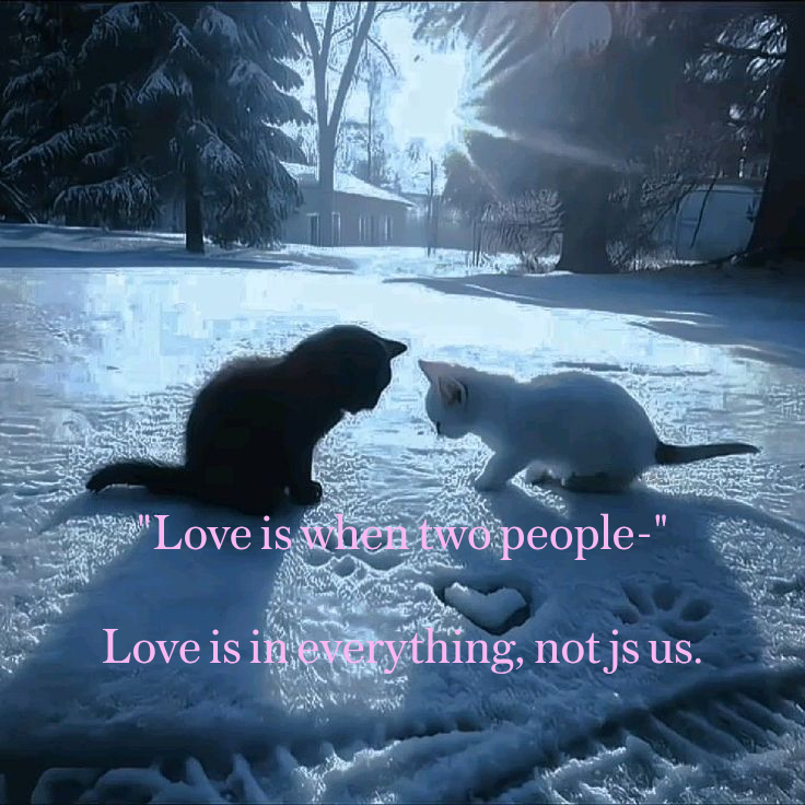 LoveNotes