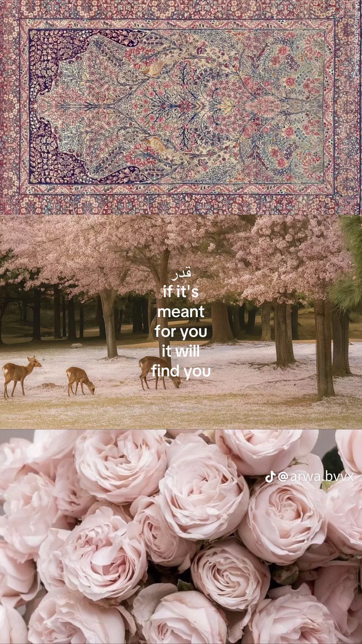 Zoya
