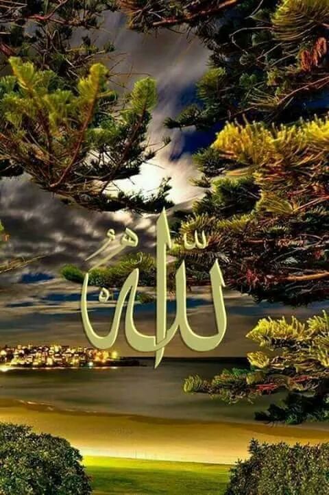 حسین
