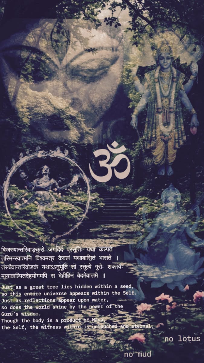 सनातन धर्म