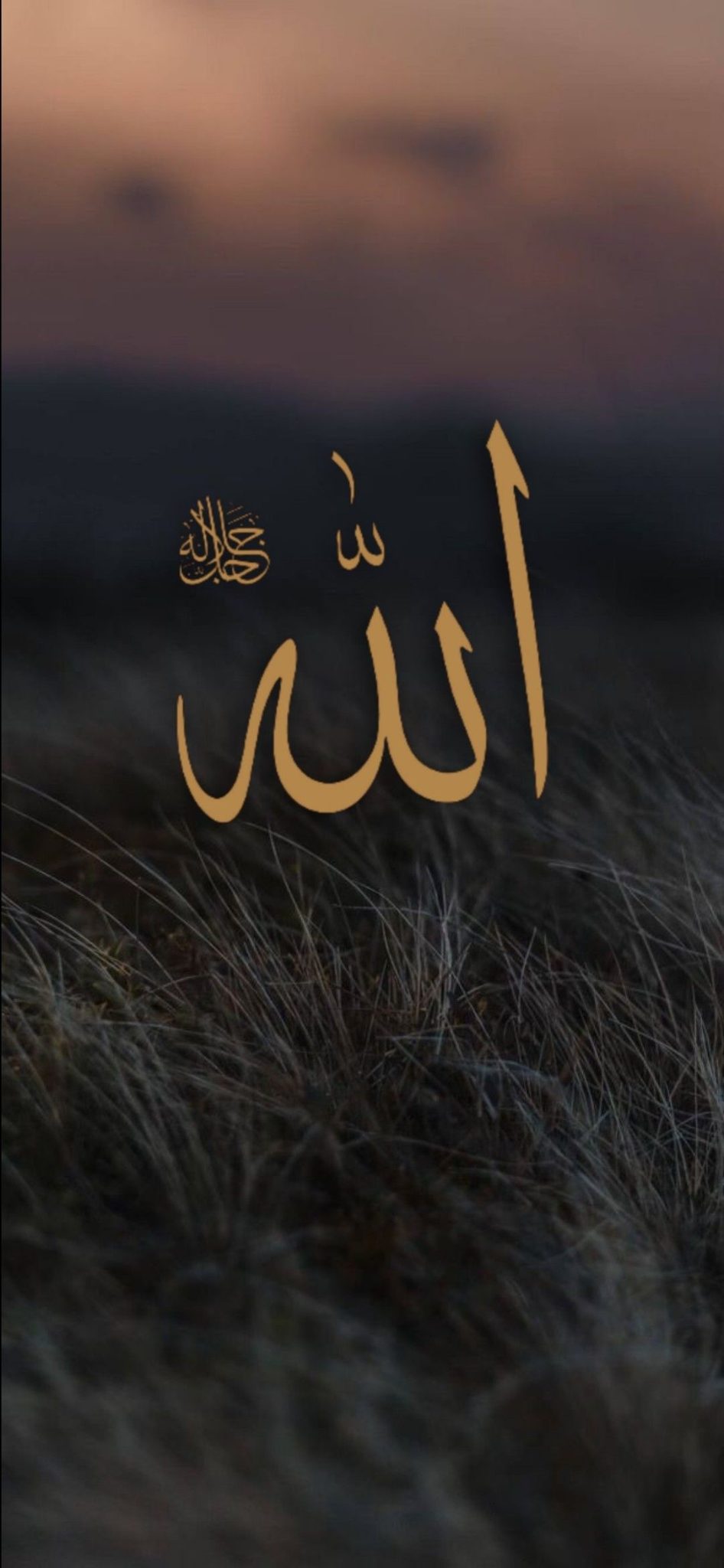 عارف