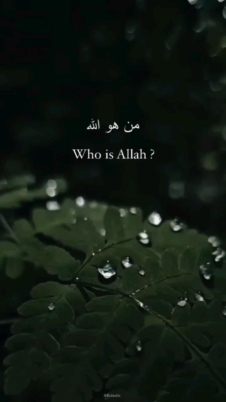 عارف