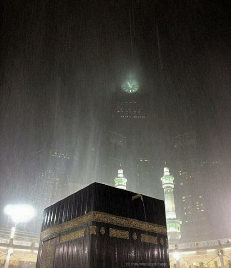 عارف